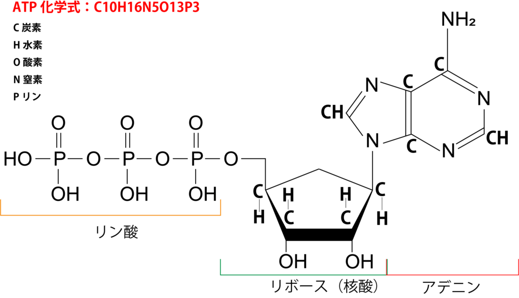 シータヒーリング ATP