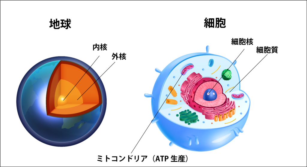 シータヒーリング 地球 細胞