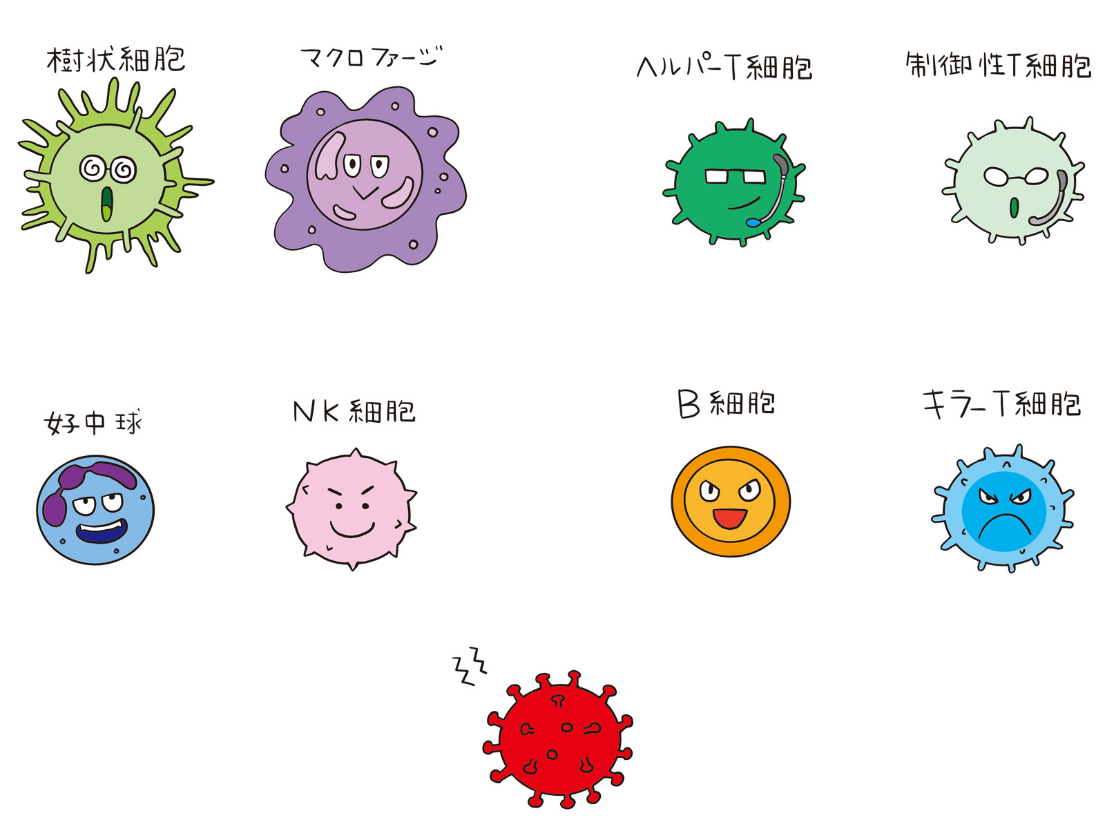 シータヒーリング　白血球