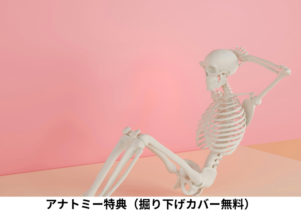 シータヒーリング　アナトミー特典（掘り下げカバー無料）