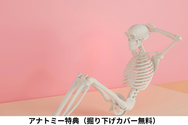 シータヒーリング　アナトミー特典（掘り下げカバー無料）