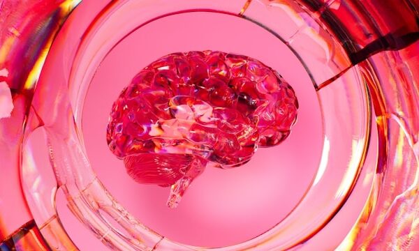 リレ5的直感脳の補足解説